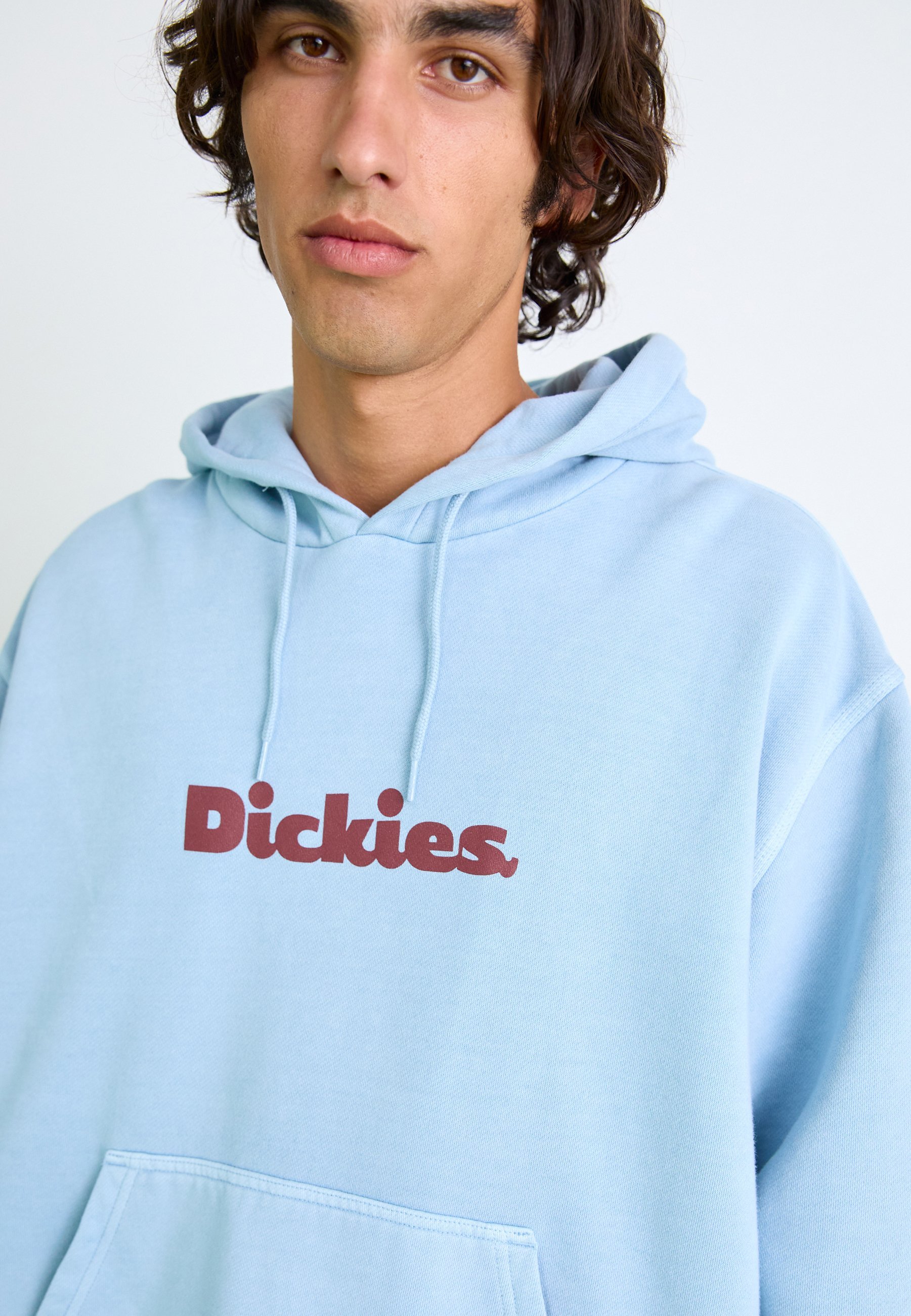 Dickies SLAYDEN HOODIE - Majica s kapuljačom - ledenjačko jezero