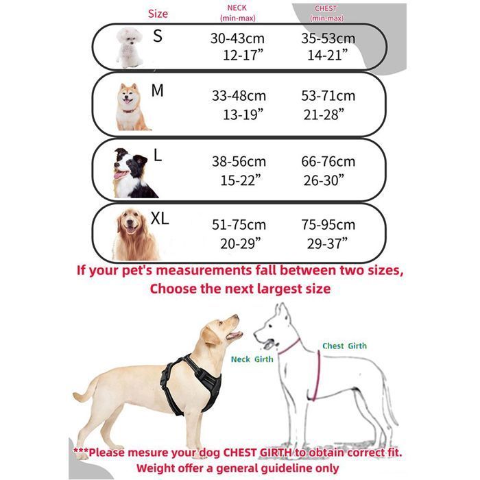 Dog Harness - No Name - Size M - Anti-Pull - Reflective - 1.5M Leash