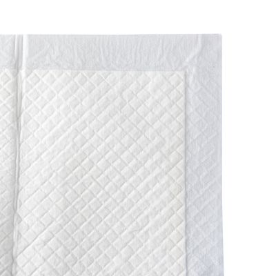 Tapis d'apprentissage de la propreté pour chiots Zooplus