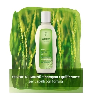 WELEDA Weleda shampoo met tarwekiem voor haar met roos 190 ml