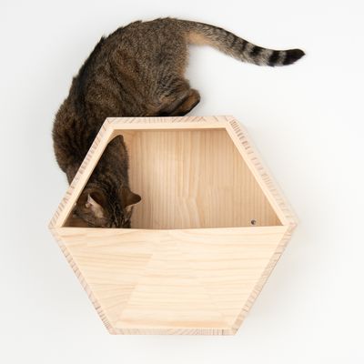 Lulu Wandmontiertes Katzenhaus