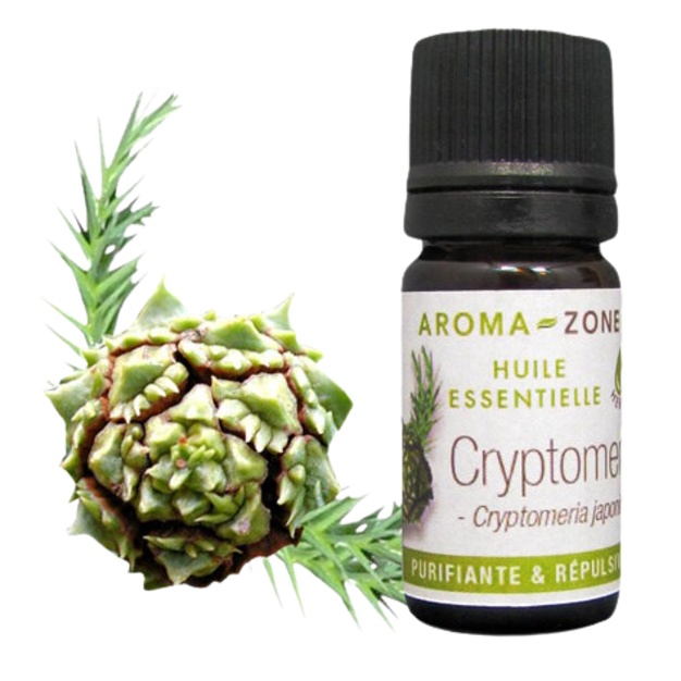 Aceite esencial de Cryptomeria