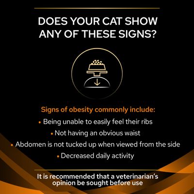 PURINA PRO PLAN Veterinary Diets Feline OM ST/OX – leczenie otyłości