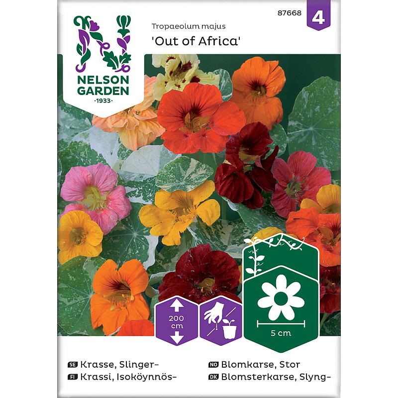 Graines de cresson de jardin Nelson, grande variété, originaire d'Afrique