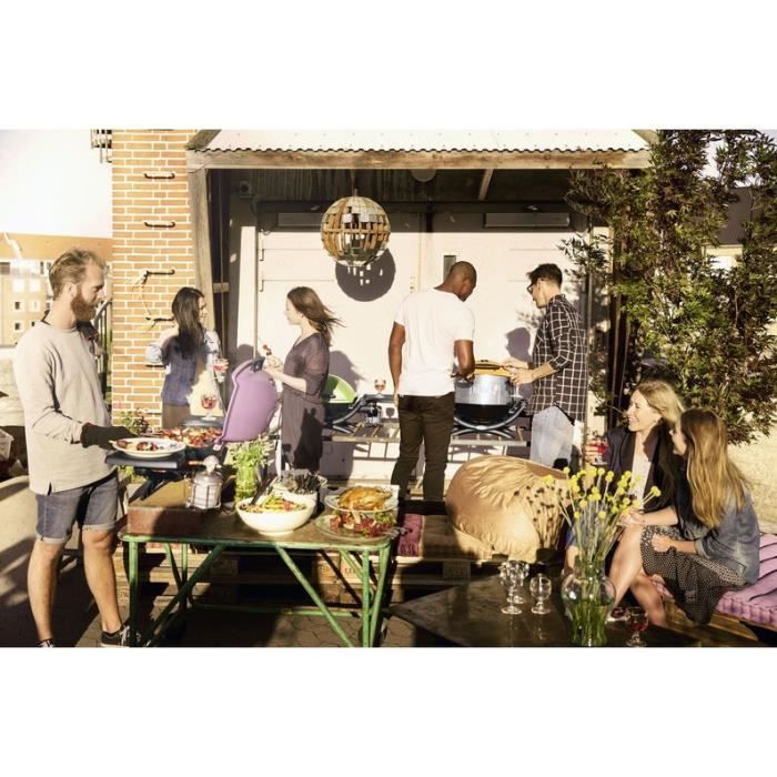 Soporte para barbacoa eléctrica WEBER Q 1400 - Superficie de cocción 43 x 32 cm - Negro