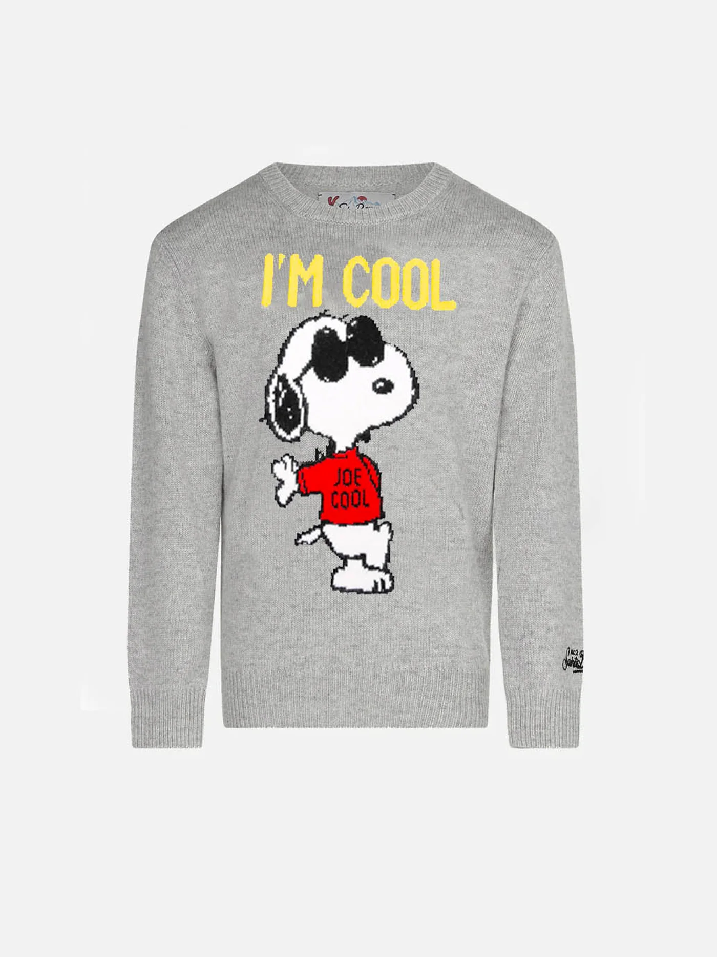 Snoopy Cool grijze jongenstrui - Speciale editie