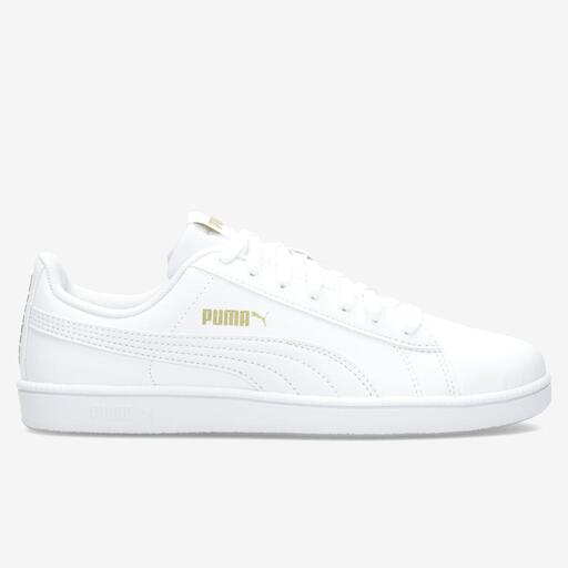 Puma Sus