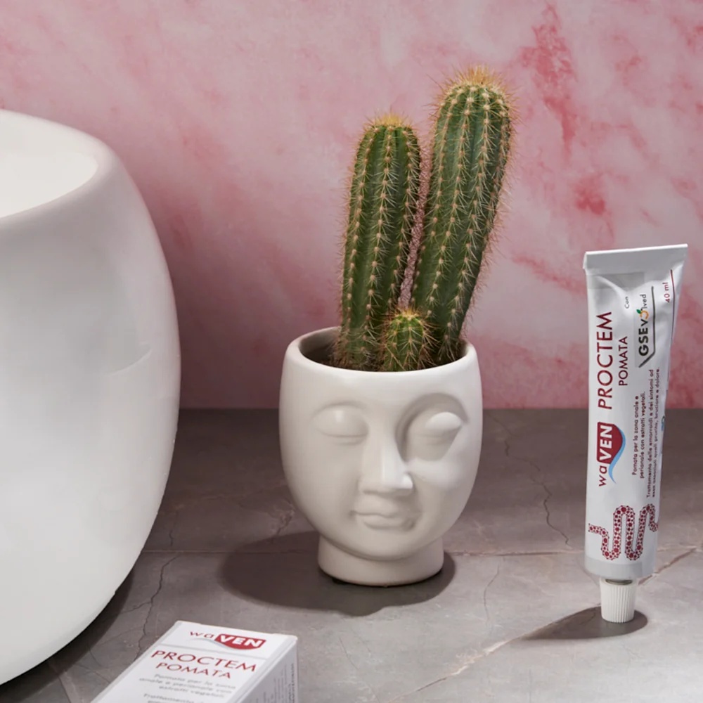 Waven Proctem Salbe 40 ml