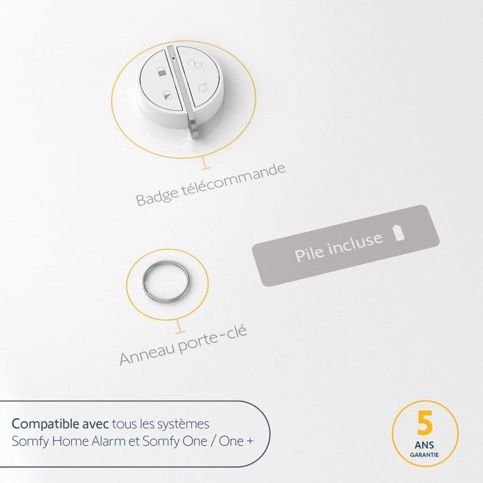 SOMFY 2401489 - Badge d'activation et de désactivation alarme - Fonction mains libres - Compatible Somfy Home Alarm (Advanced),