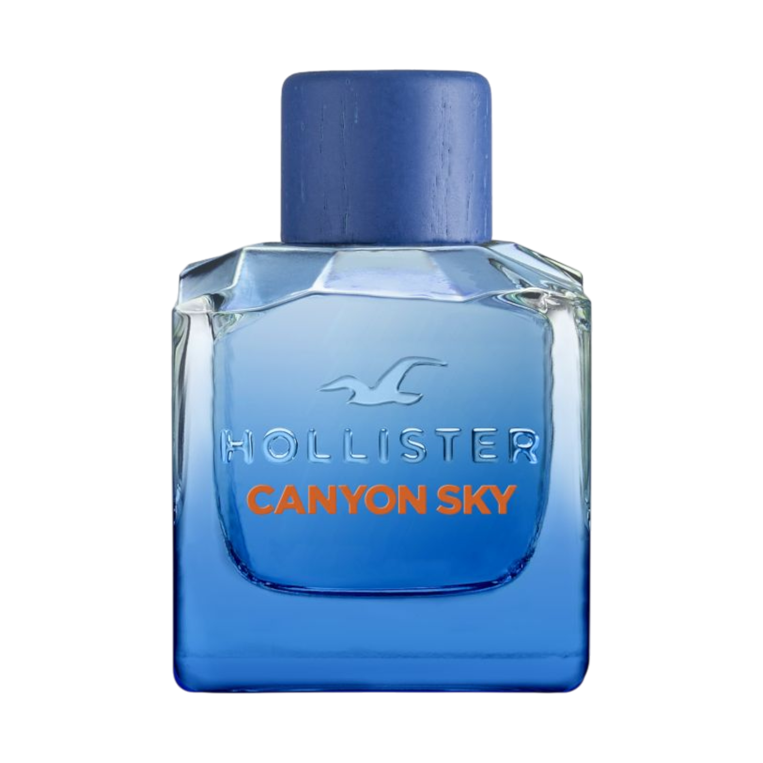 Hollister Canyon Sky
