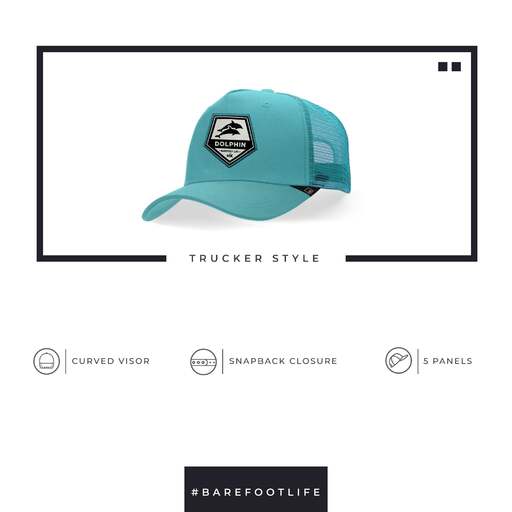 Gorra Hanukeii Dolphin
