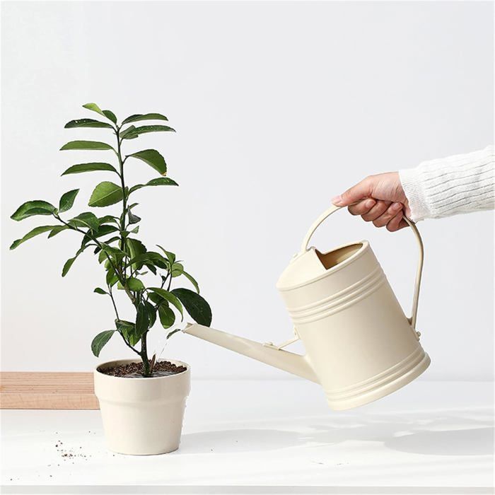 Regadera de 2 litros para plantas de interior - plástico beige con boquilla pulverizadora ergonómica y extraíble.