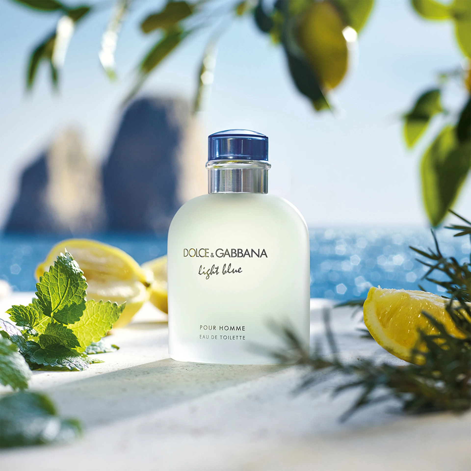 Light Blue Pour Homme EdT 75 ml - Dolce & Gabbana