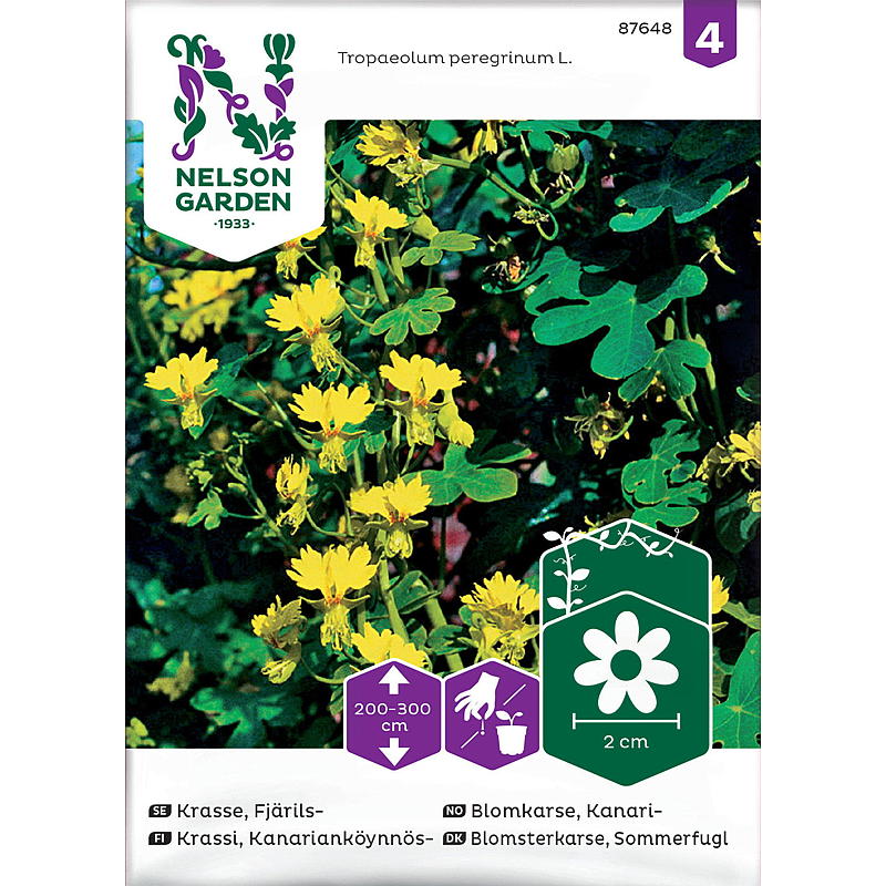 Graines de cresson des prés de Nelson Garden, jaune