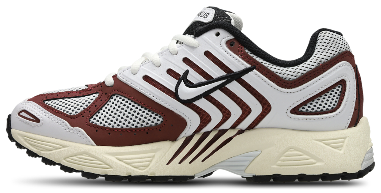 Nike Pegasus 2005