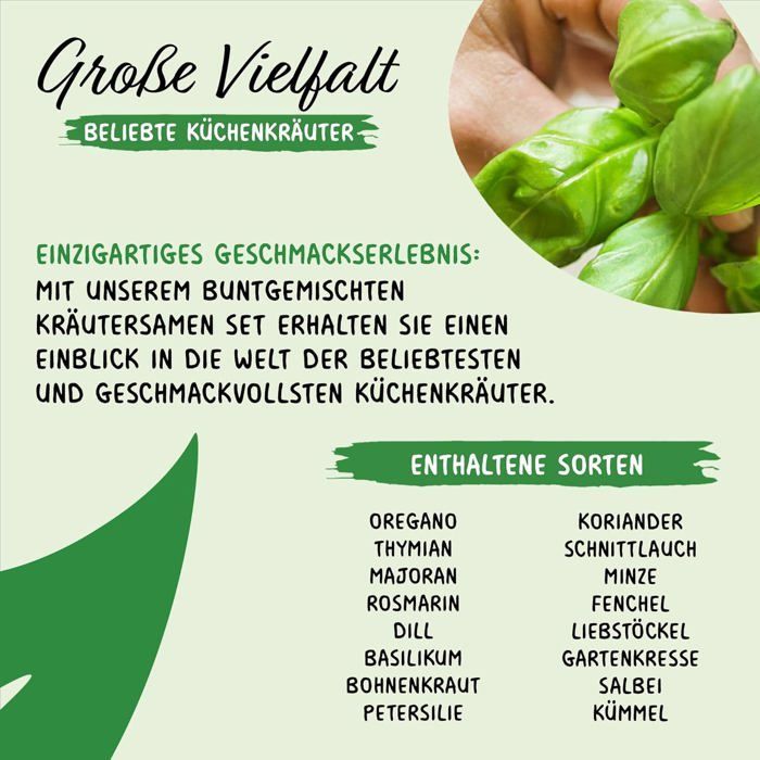Kit de Sementes de Ervas PRADEMIR - 16 Variedades de Ervas Aromáticas - Sementes 100% Naturais - Variedades Mais Populares