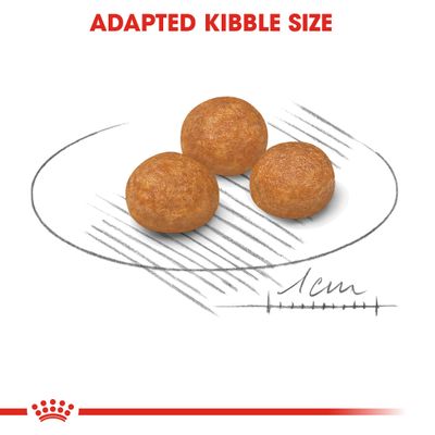 Royal Canin X-Small Adult