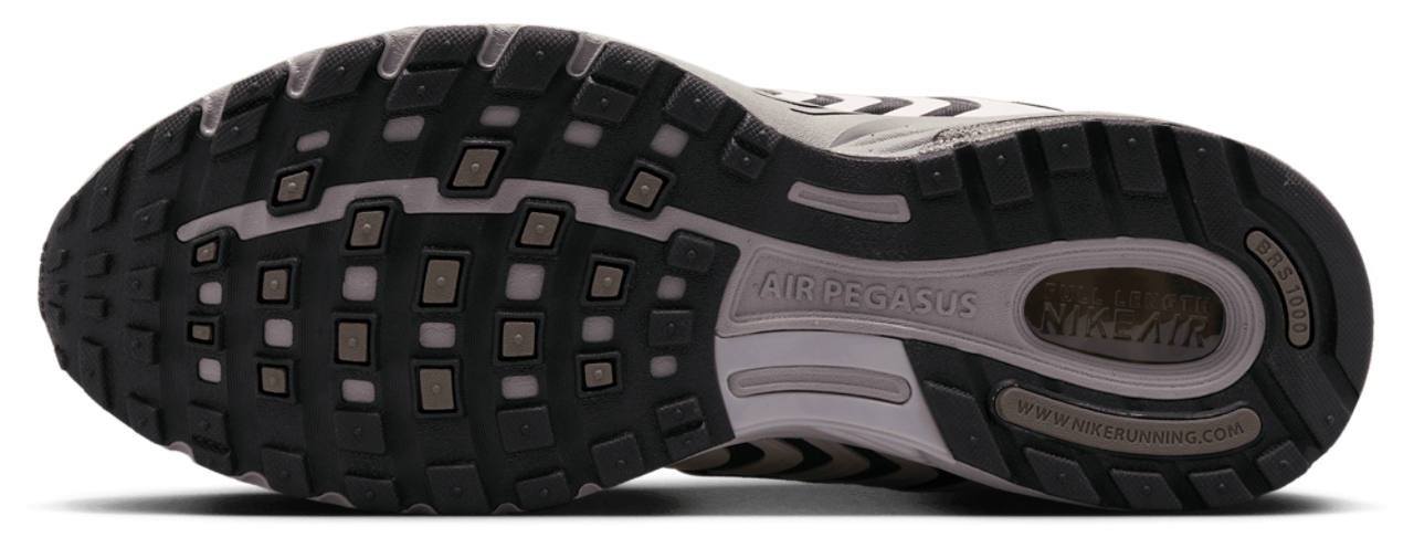Nike Pegasus 2005