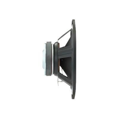 Altoparlante Visaton W 250 S - Woofer Hi-Fi da 25 cm - 75 W - Driver per subwoofer - Grigio