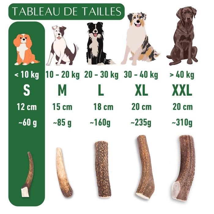 Bois de cerf pour Chien a Macher Entier Taille S Friandise pour Chiots et Chiens de Tout ges Jouet Mastication 1 pice