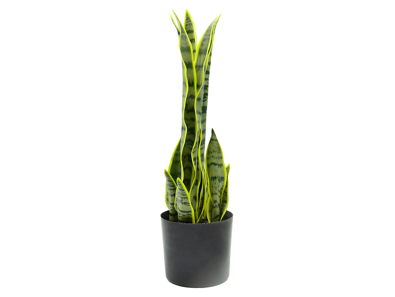 Sztuczna roślina w doniczce Sansewiera 50 cm