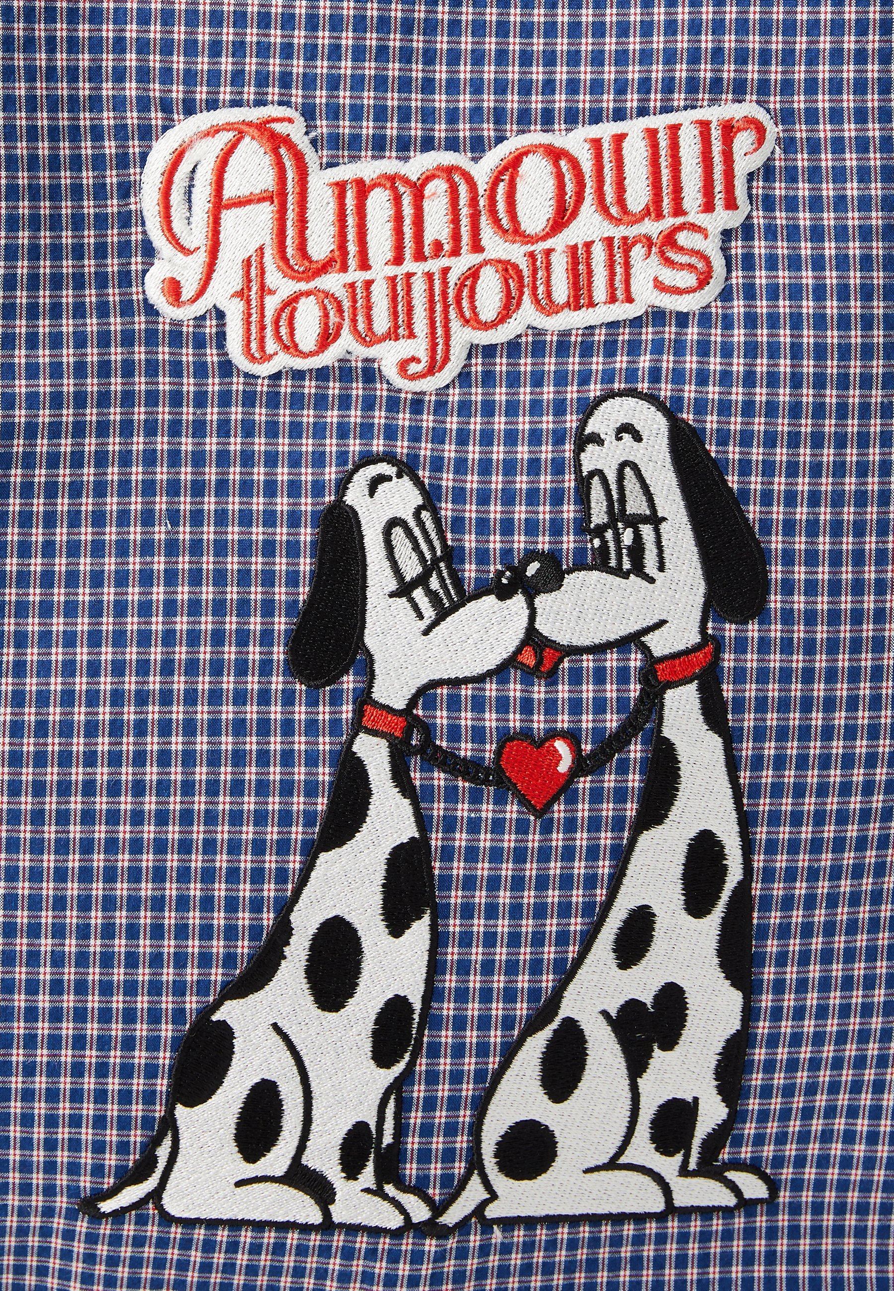 Carne Bollente THE DOGGY BAG UNISEX - Draagtas - blauw geruit