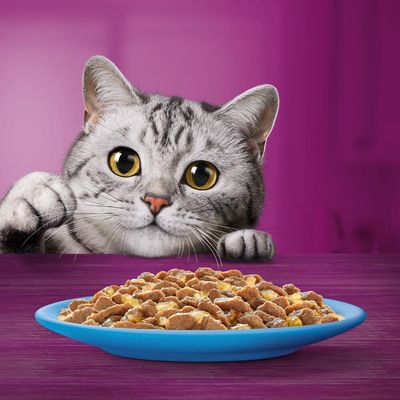 Whiskas 1+ Rybí oblíbené v želé