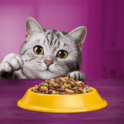 Whiskas 1+ Kuře