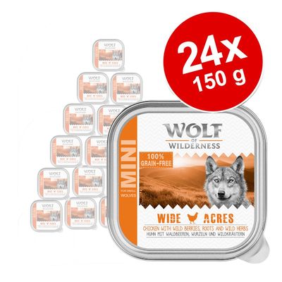 Wolf of Wilderness Erwachsenen-Sparpackung 24 x 150 g