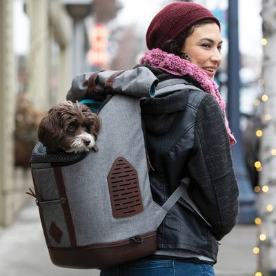 KURGO K9 Hunde-Rucksack – 20 % Rabatt!*