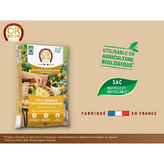 Sustrato para cítricos y plantas mediterráneas - OR BRUN - OBRTAGR6U - 6L - Olivos, palmeras y cícas