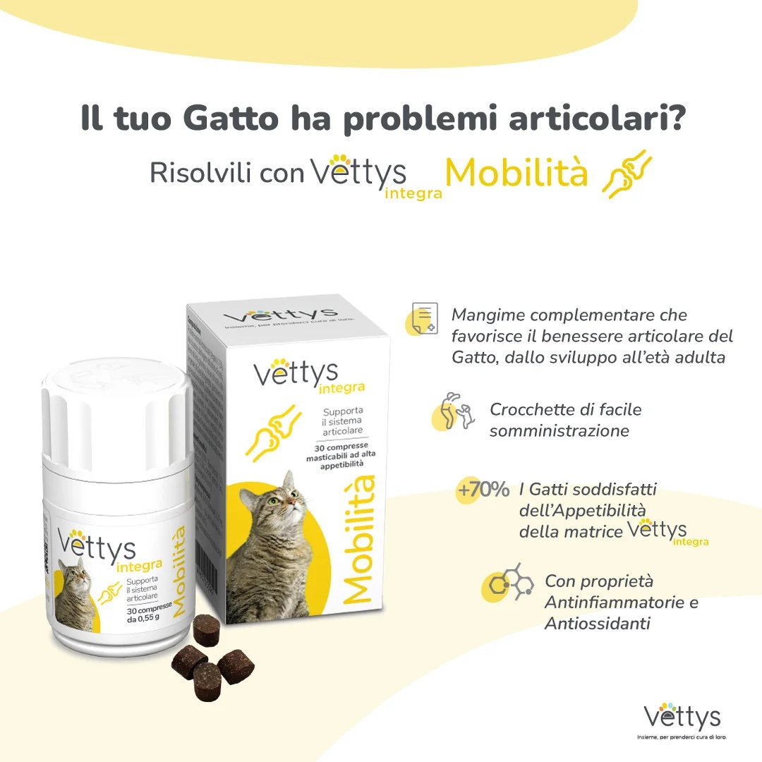 VETTYS Vettys Integra Mobility Cat 30 tabletten Mobiliteit bij katten