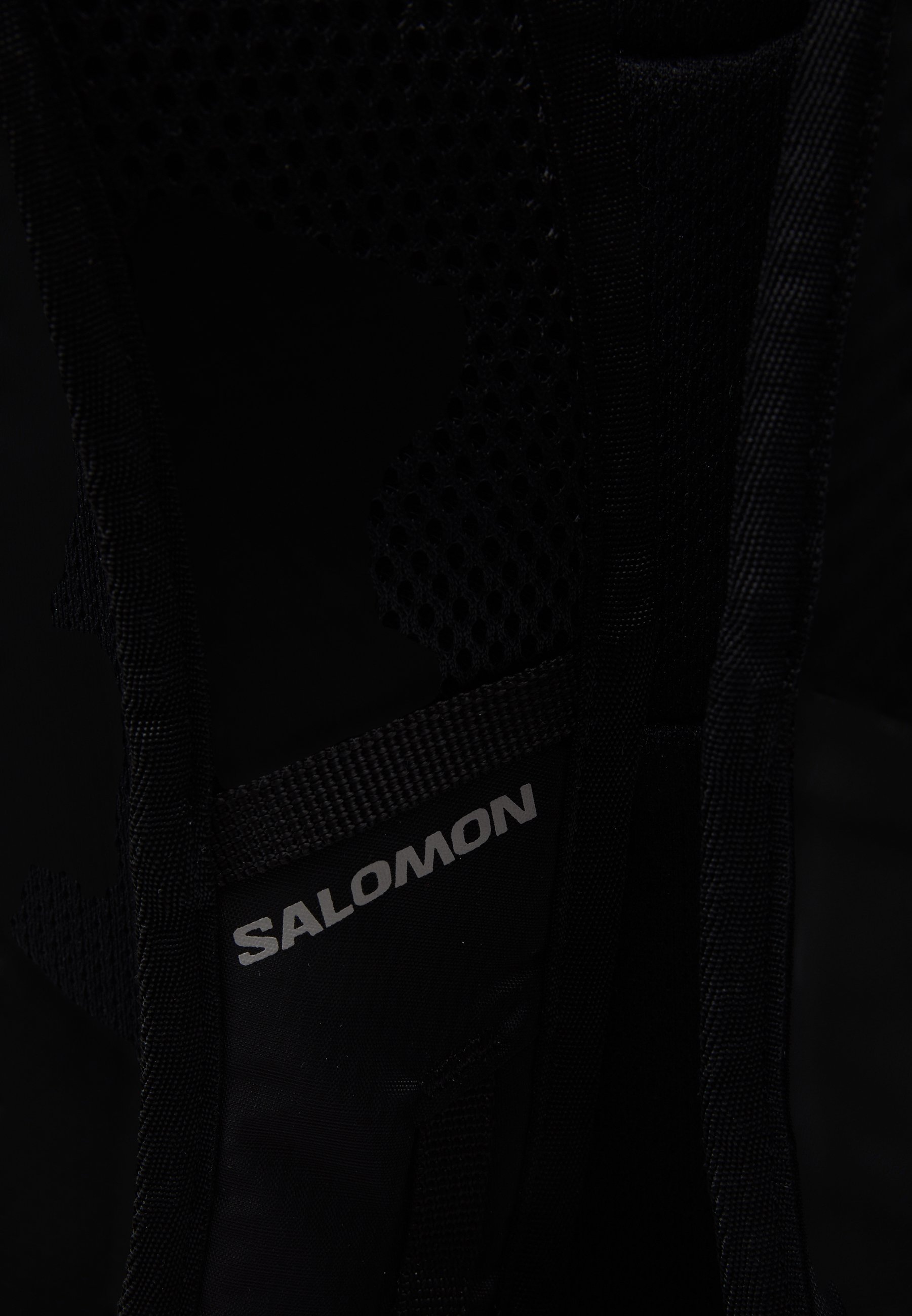Salomon TRAILBLAZER 20 UNISEX - Rugzak - zwart/legering