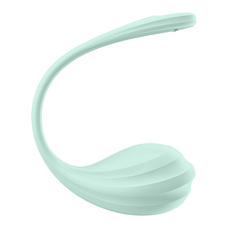 Satisfyer Smooth Petal Connect App