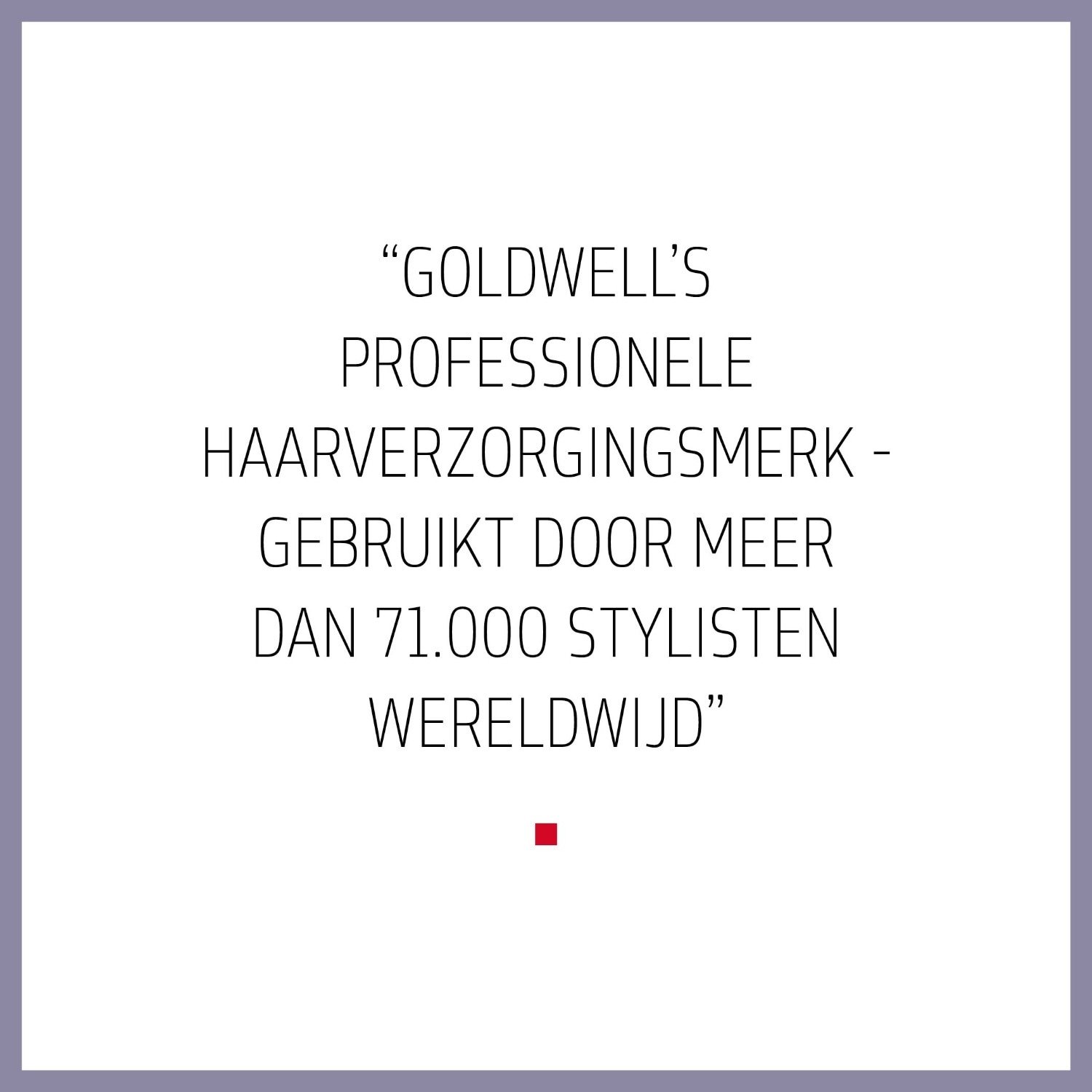 „Goldwell Dualsenses Just Smooth“ plaukų šampūnas, 250 ml