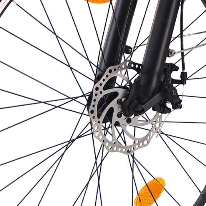 Bicicletta elettrica AVDLEU da 26