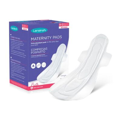 Lansinoh Postpartum Maternity Pillows 10 pillows 10 pillows