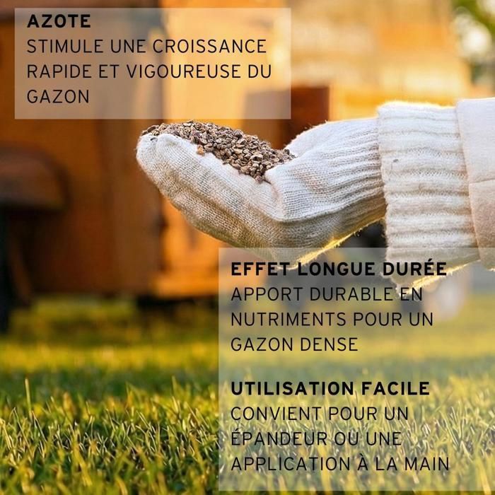 Engrais gazon printemps été FUXTEC FX-RDFS5 organo minéral avec magnésium et soufre sac 5 kg