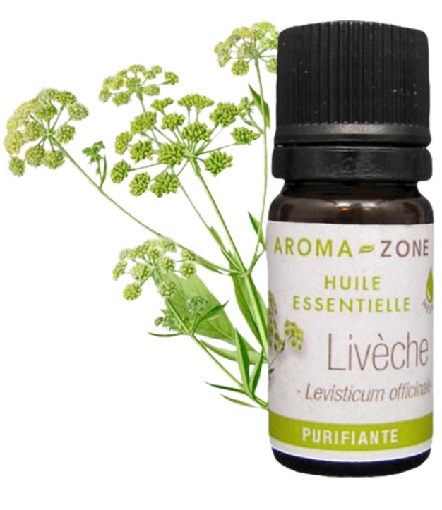 Huile essentielle Livèche 2ml