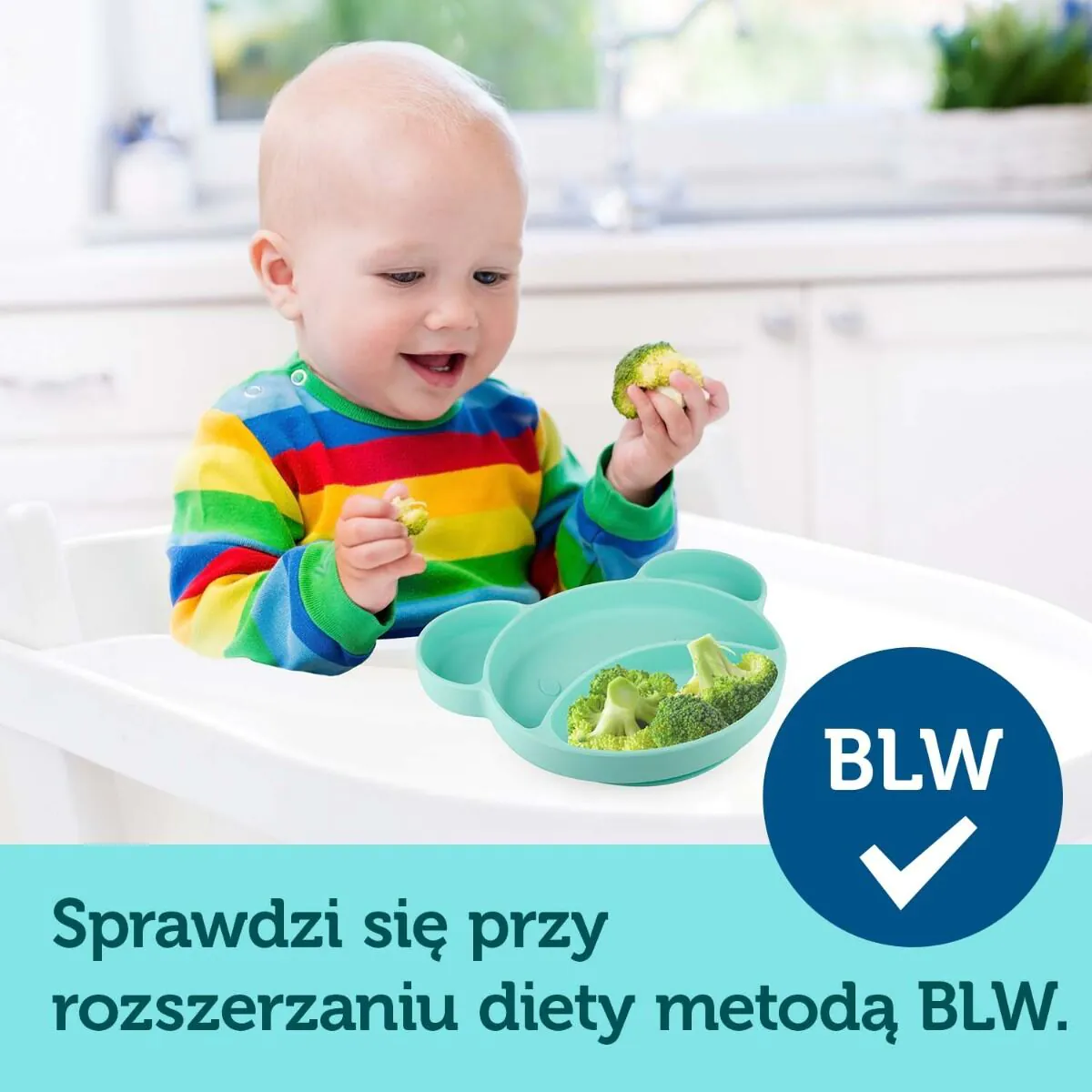 Canpol Babies Talerzyk Silikonowy, Trójdzielny z Przyssawką Miś Różowy