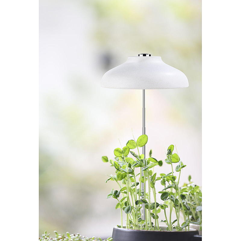 Blomväxtlampa för kruka
