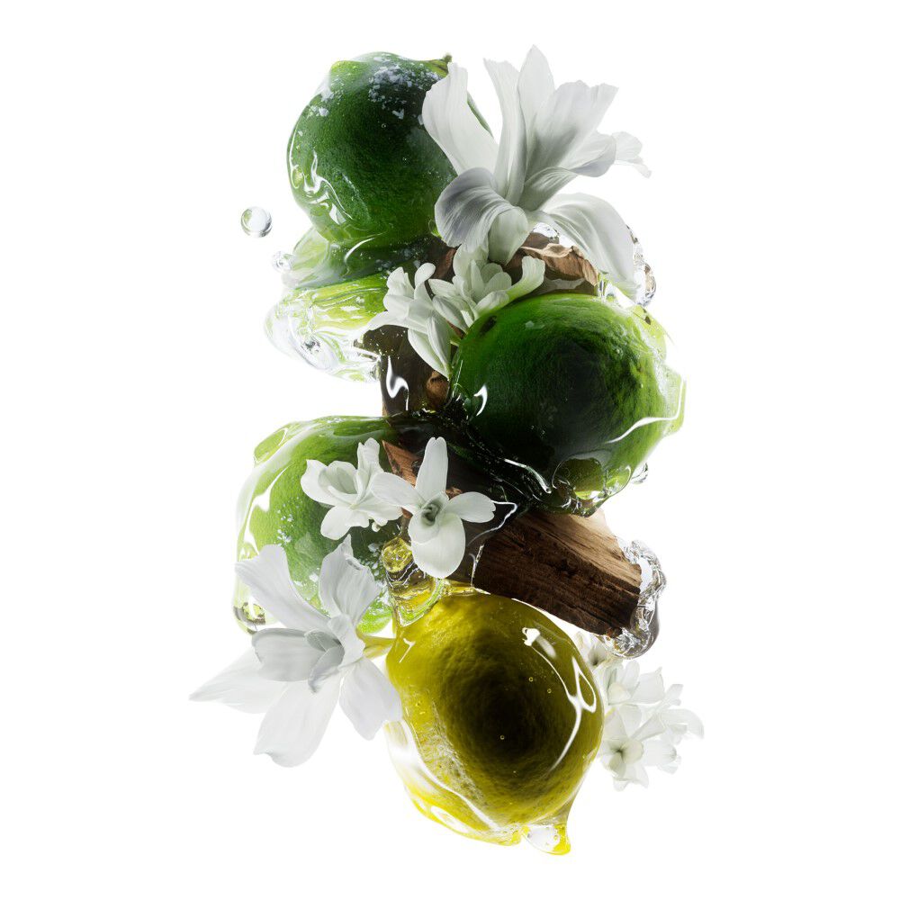 L'Oréal Professionnel Paris Metal Detox