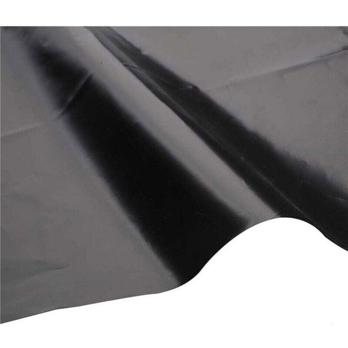 Zwarte vijverfolie van 3m x 3m voor visvijvers, beekjes, fonteinen en watertuinen (2 × 3 m)