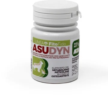 TREBIFARMA Asudyn Pot met 20 tabletten van 1200 mg