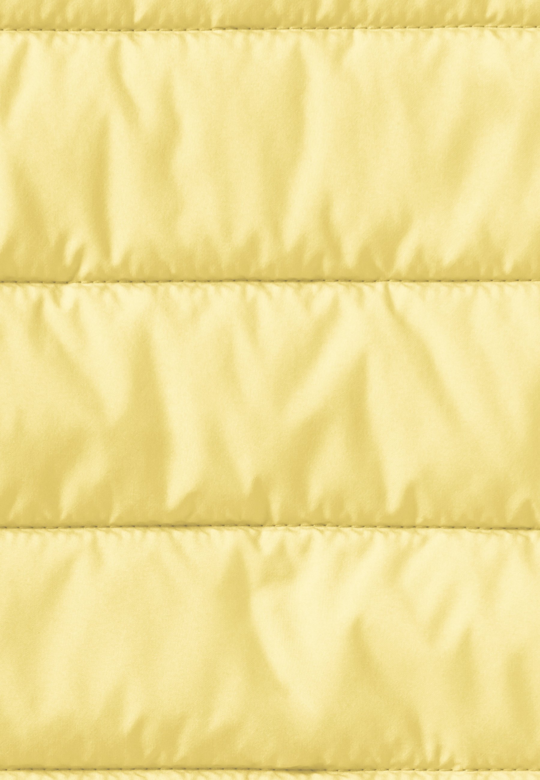 Jack Wolfskin NEW ZENON - Ski-jas - citroenijs