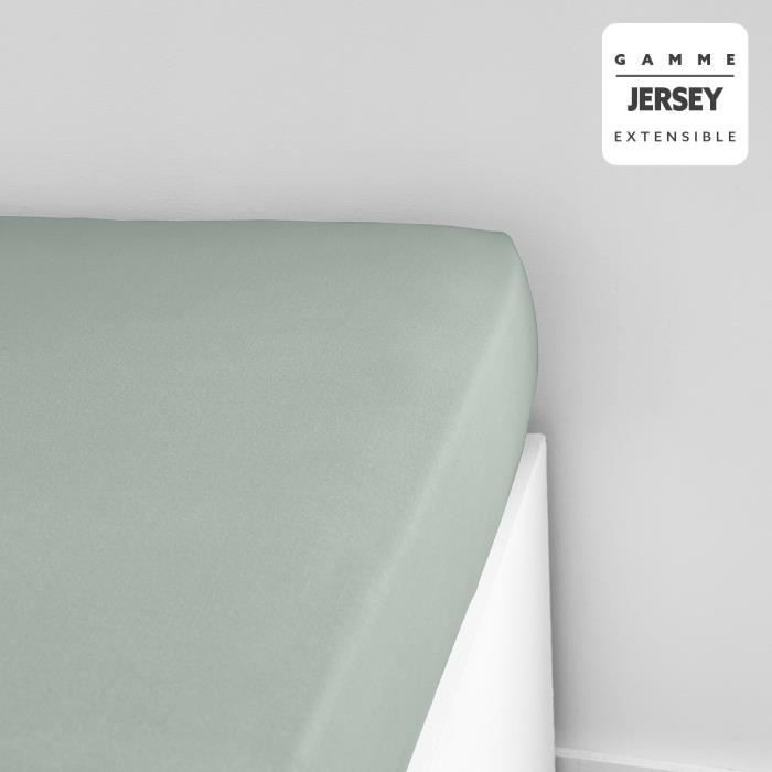 Lenzuolo con angoli TODAY Essential - 140 x 190+25 cm - Singolo - Jersey di cotone 100% - Celadon