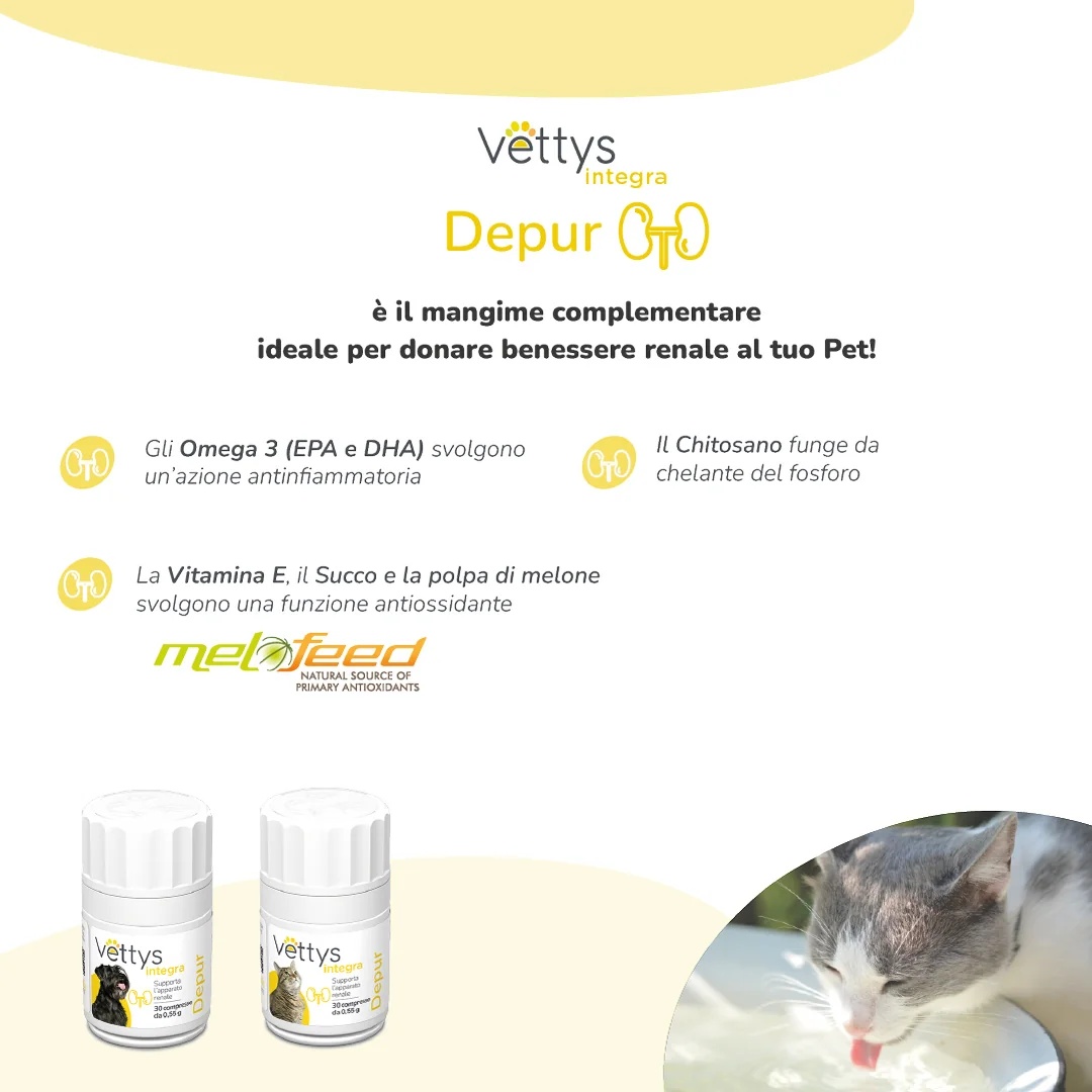 VETTYS Vettys Integra Depur Cat 30 comprimidos para problemas renais em gatos