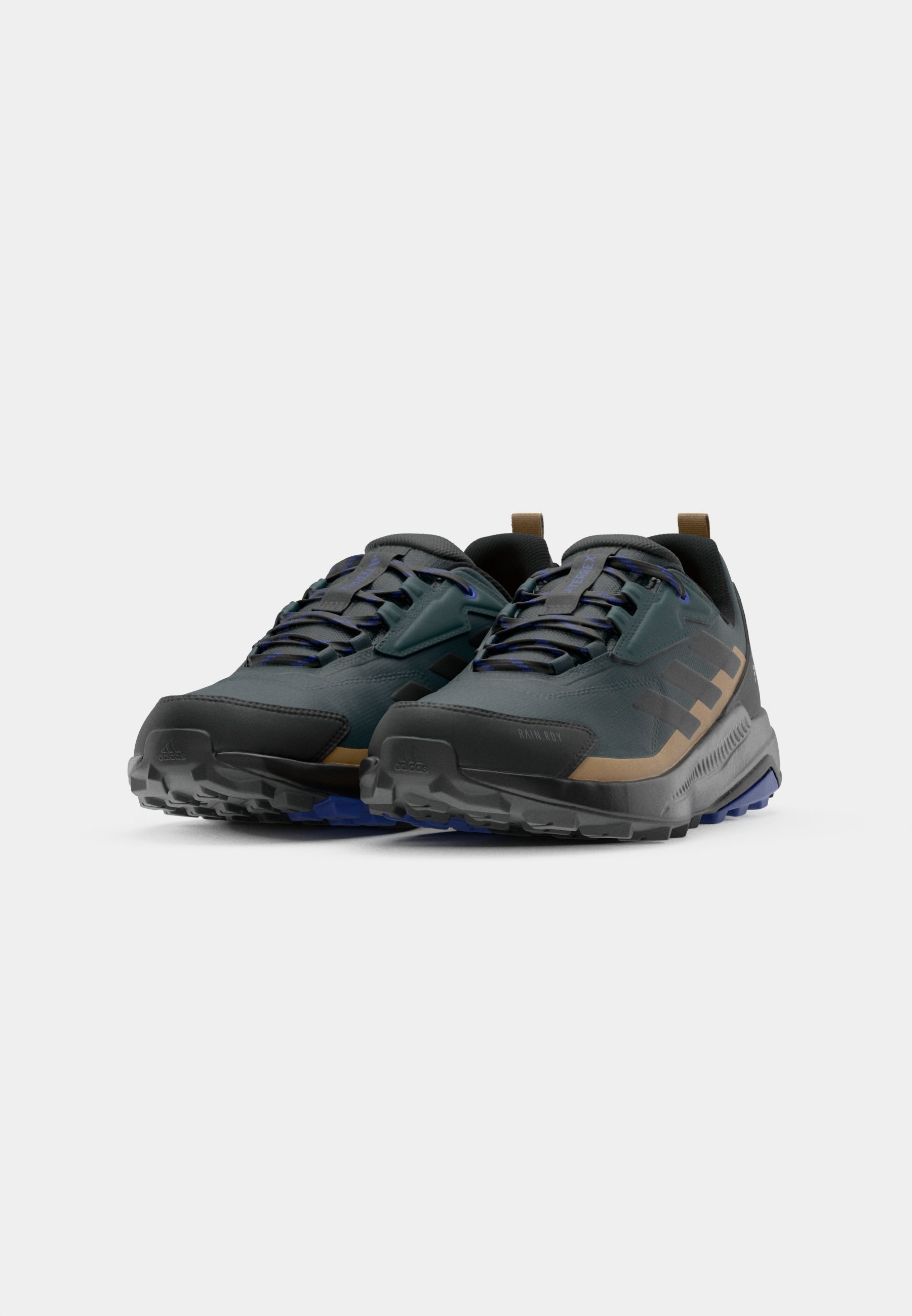 Adidas Terrex ANYLANDER R.RDY - Wandelschoenen - aurora ivy/core black/cardboard