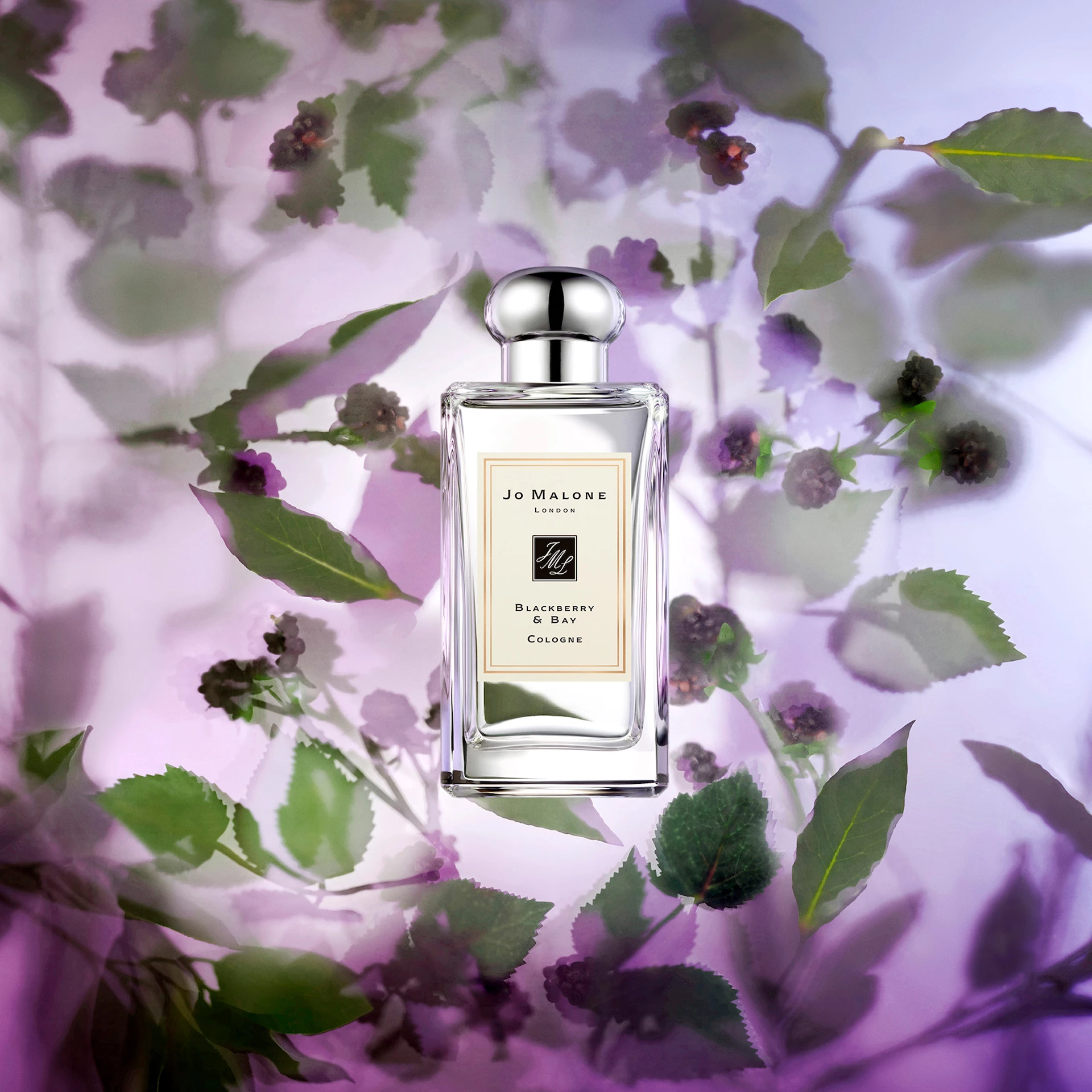 Difuzor kupine i zaljeva 165 ml - Jo Malone London