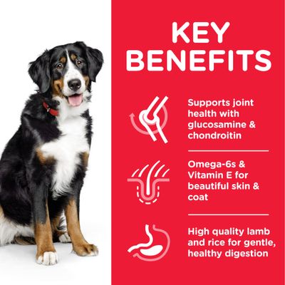 Hill's Science Plan Adult 1-5 Large Breed with Lamb & Rice
